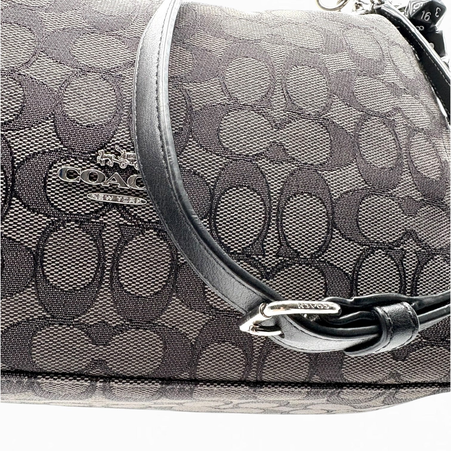 COACH MONOGRAM HAND BAG