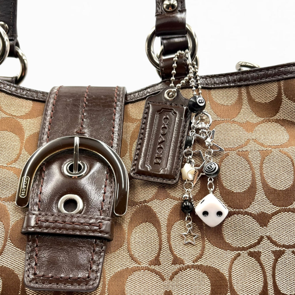 COACH MONOGRAM HAND BAG