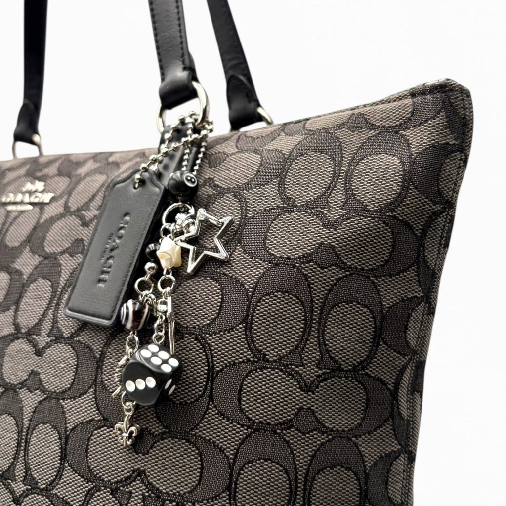 COACH MONOGRAM HAND BAG