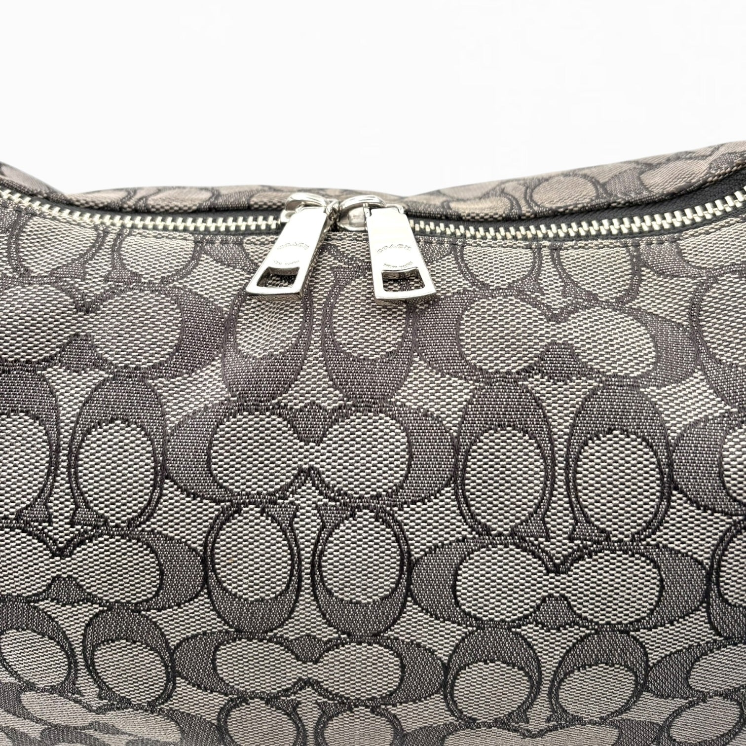 COACH MONOGRAM HAND BAG