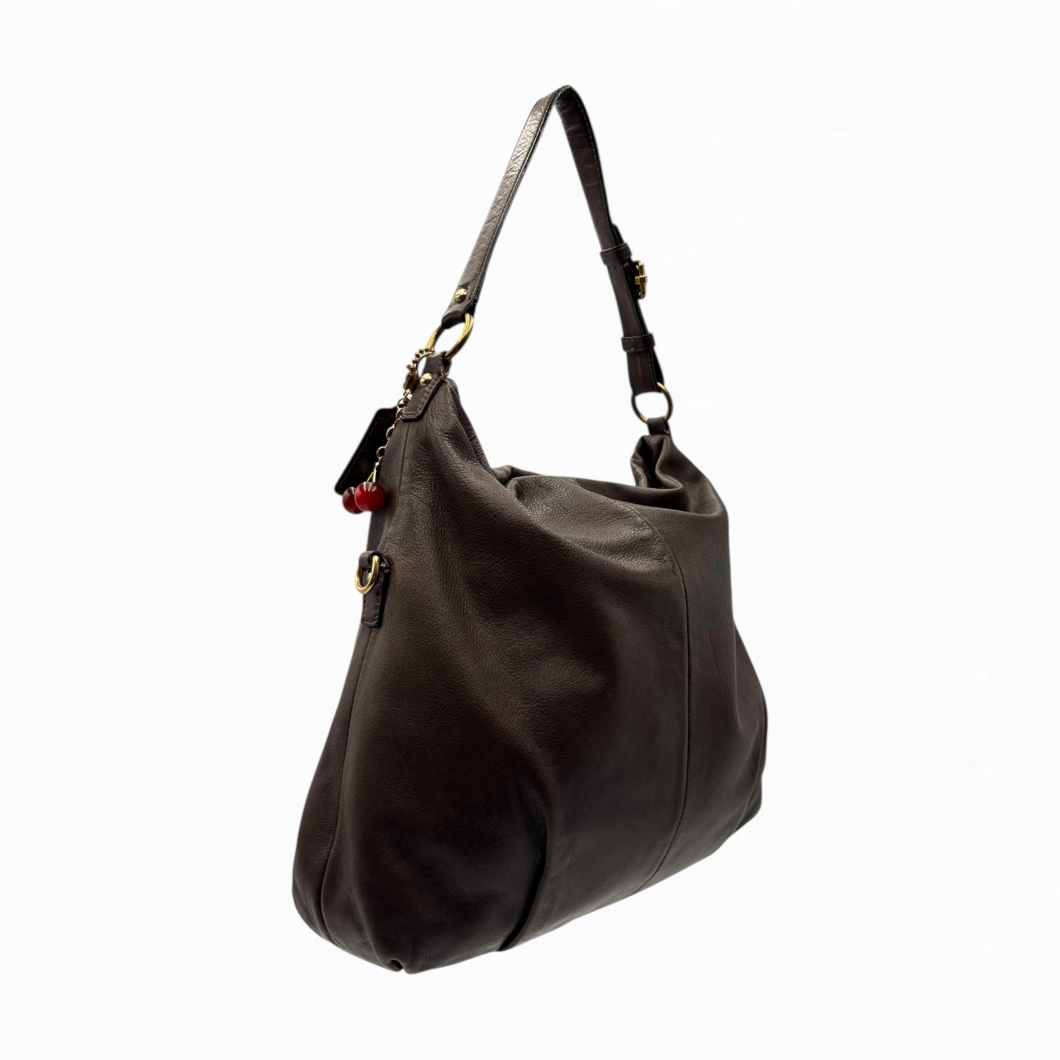 COACH LEATHER HOBO BAG