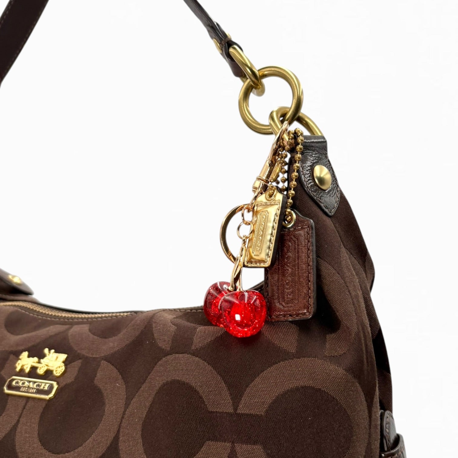 COACH MONOGRAM HOBO BAG